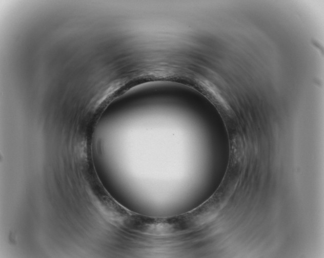 X0000096220212200801251104