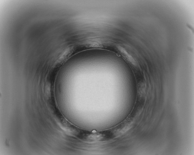 X0000096220213200801251104