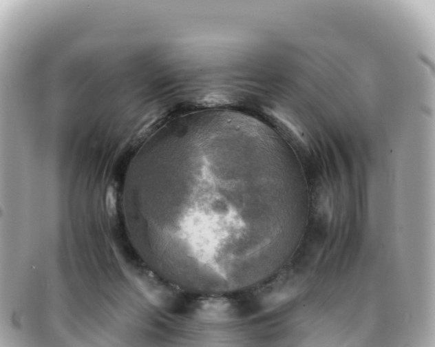 X0000096220214200801251104