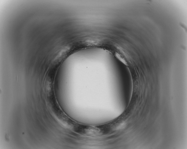 X0000096220215200801251104