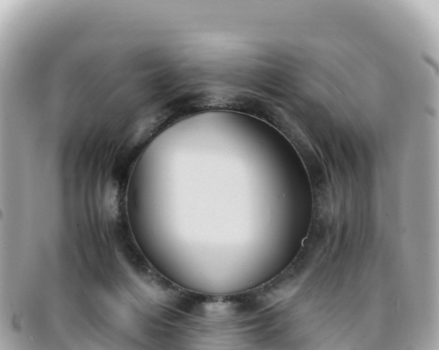 X0000096220216200801251104