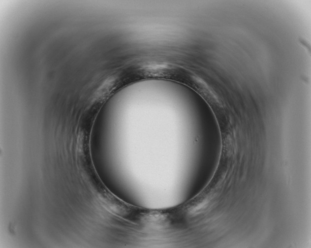 X0000096220217200801251104