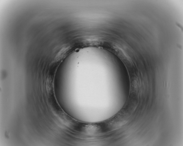 X0000096220218200801251104