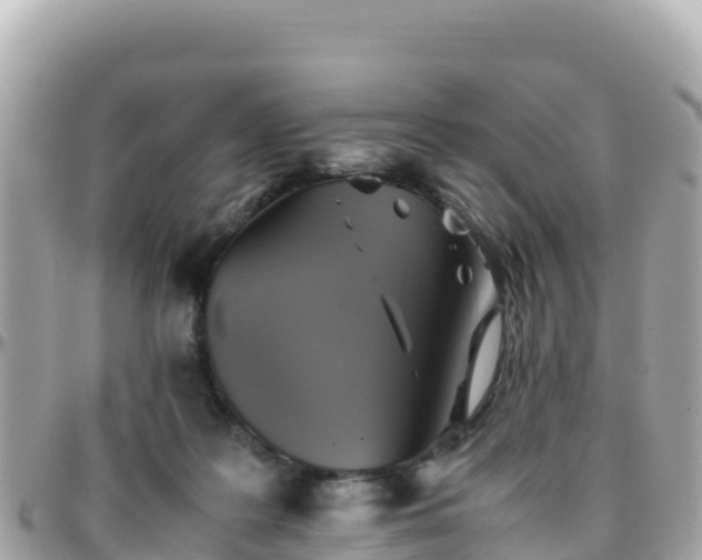 X0000096220219200801251104