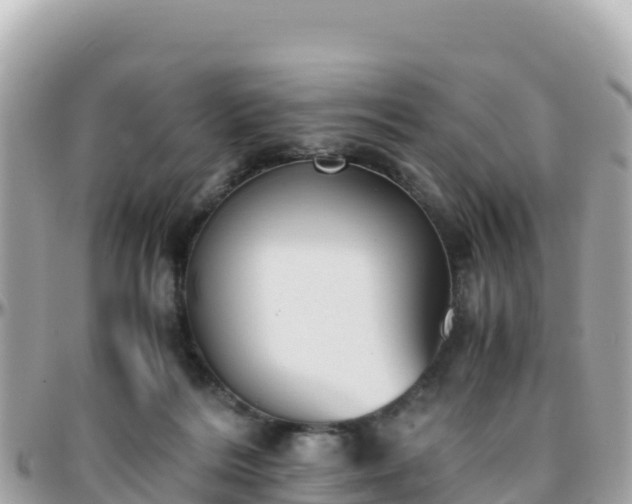 X0000096220220200801251104