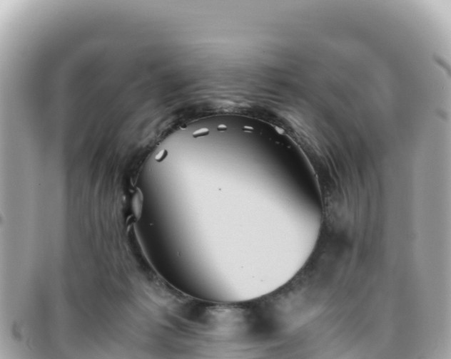 X0000096220221200801251104