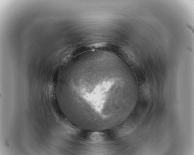 X0000096220222200801251104