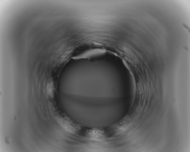 X0000096220223200801251104