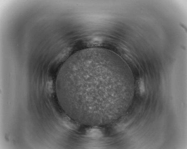 X0000096220224200801251104