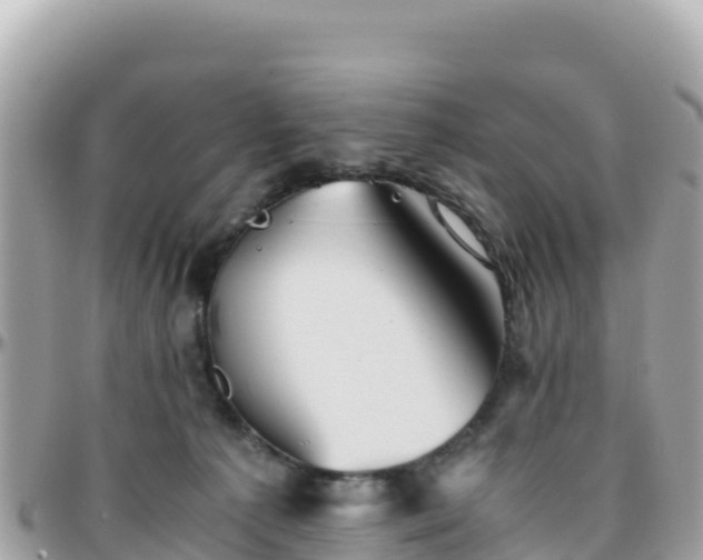 X0000096220225200801251104