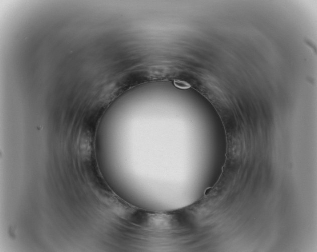 X0000096220226200801251104