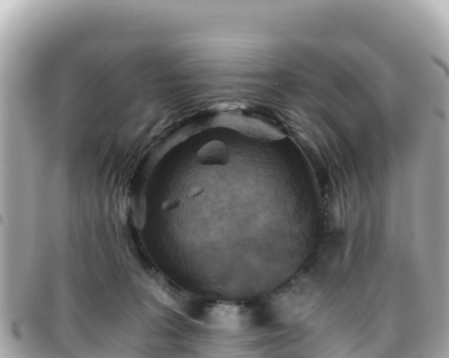 X0000096220227200801251104