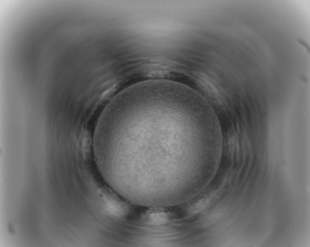 X0000096220228200801251104