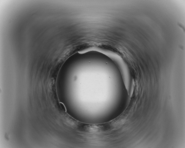 X0000096220229200801251104