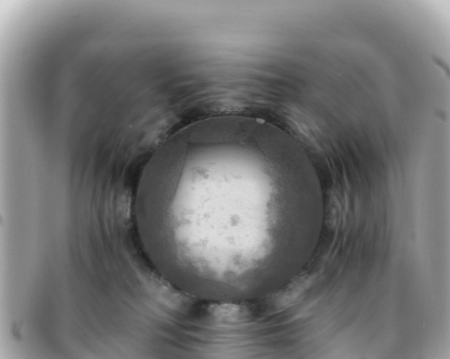 X0000096220230200801251104