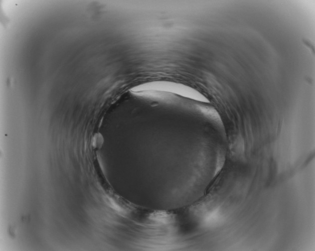 X0000096220231200801251104