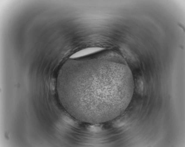 X0000096220232200801251104