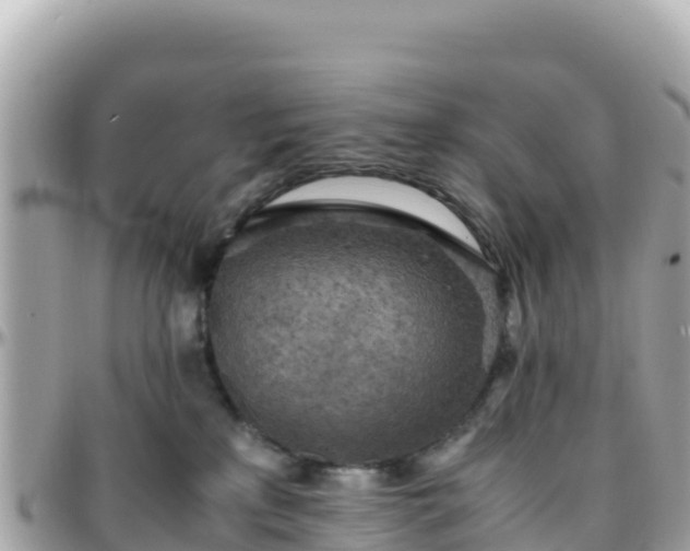 X0000096220233200801251104