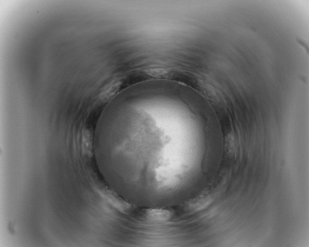 X0000096220234200801251104