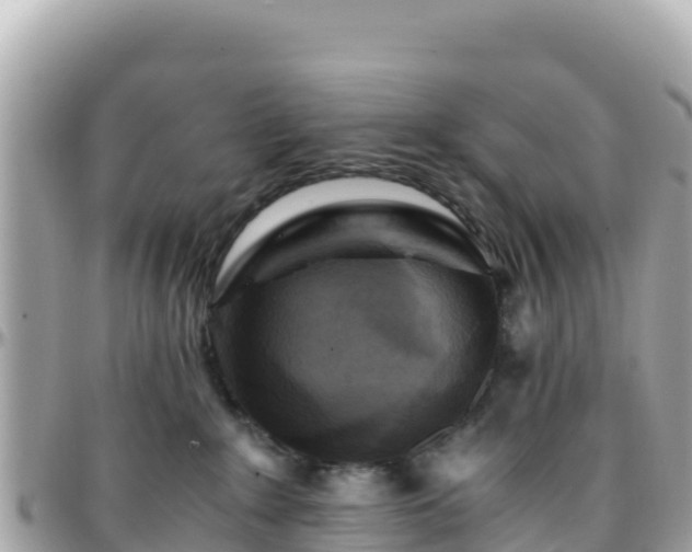 X0000096220235200801251104