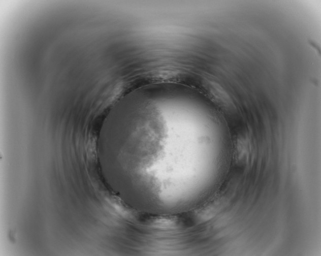 X0000096220236200801251104