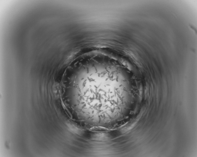 X0000096220237200801251104