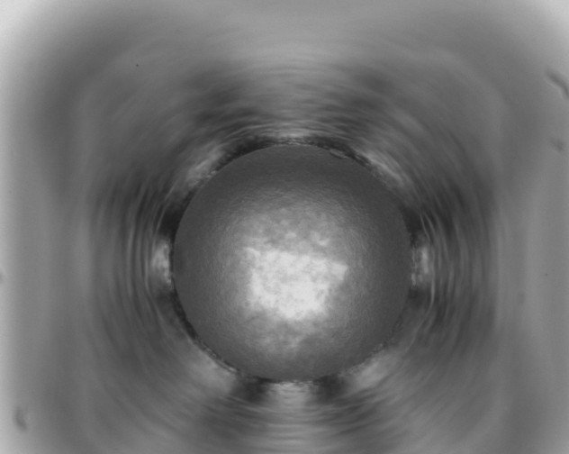 X0000096220238200801251104