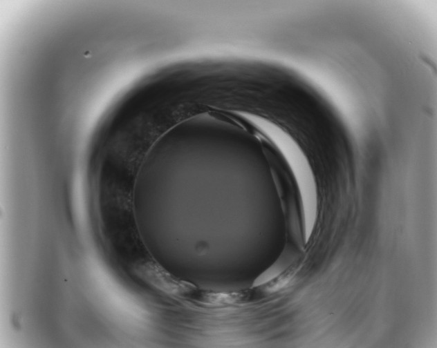 X0000096220239200801251104