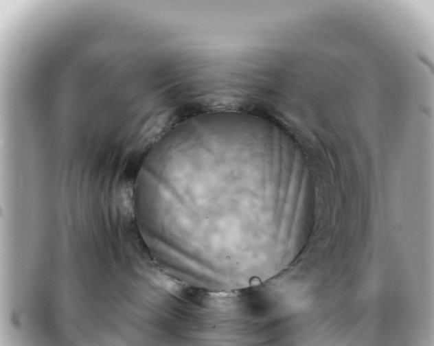 X0000096220240200801251104