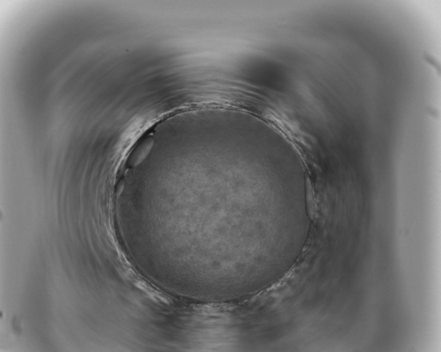 X0000096220241200801251103