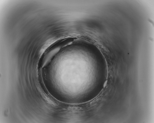 X0000096220242200801251103