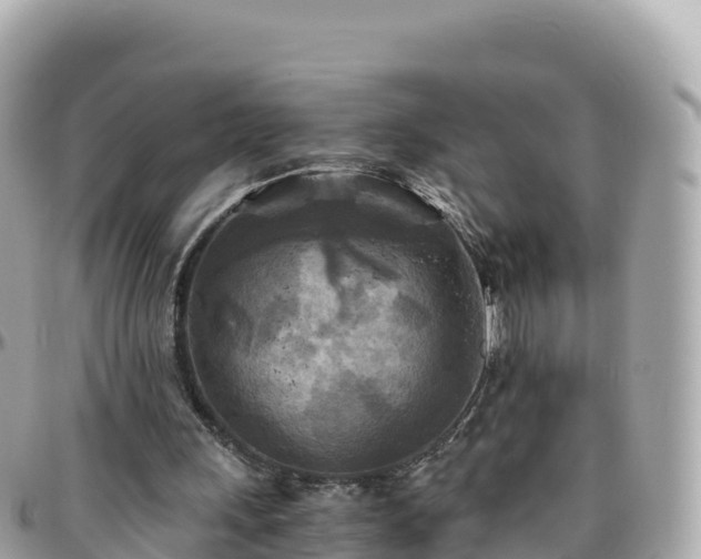 X0000096220243200801251103