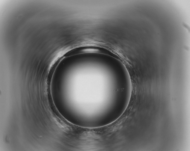 X0000096220244200801251103