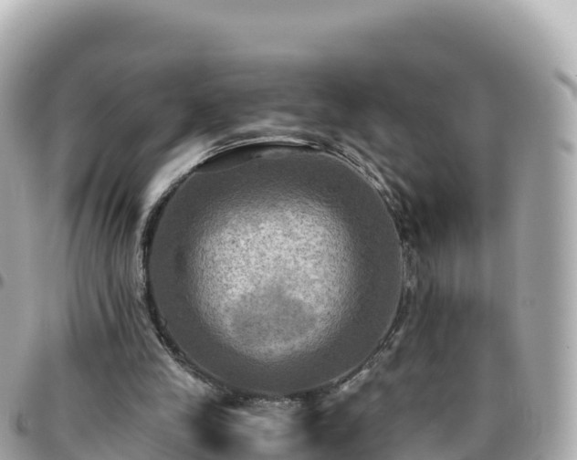 X0000096220245200801251103