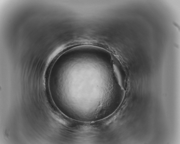 X0000096220246200801251103