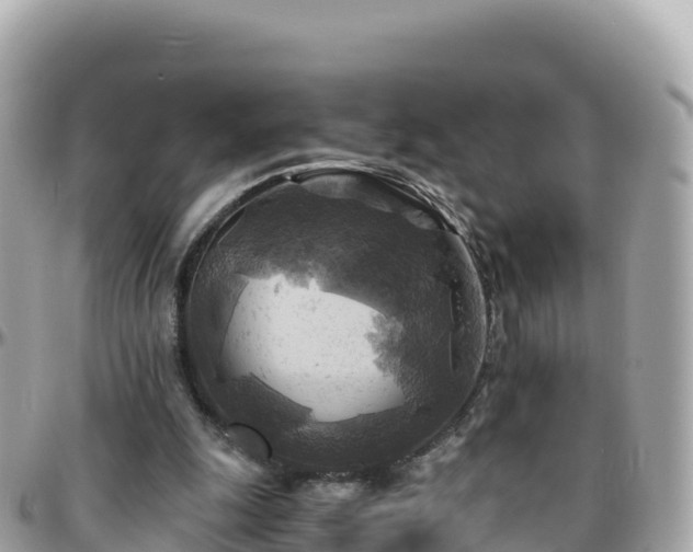 X0000096220247200801251103