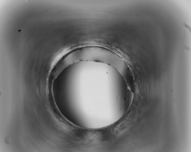 X0000096220248200801251103