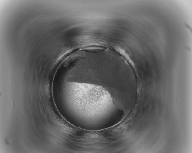 X0000096220249200801251103