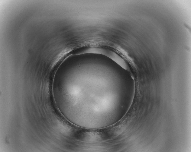 X0000096220250200801251103