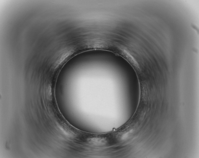 X0000096220251200801251103