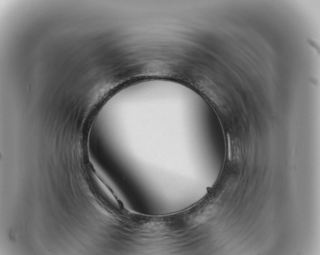 X0000096220252200801251103