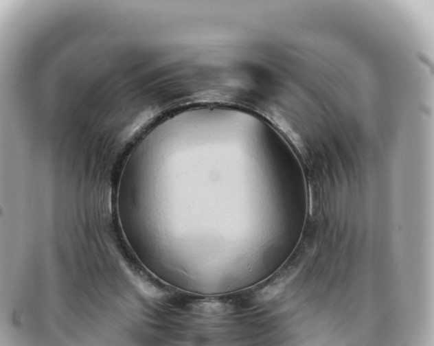 X0000096220253200801251103