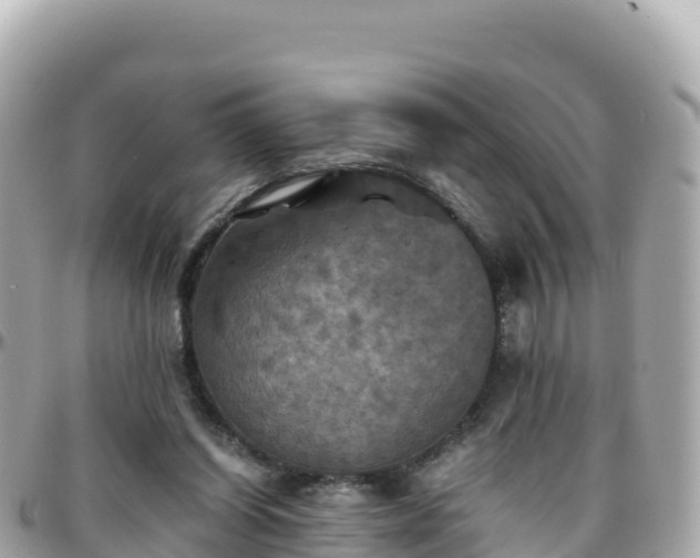 X0000096220254200801251103