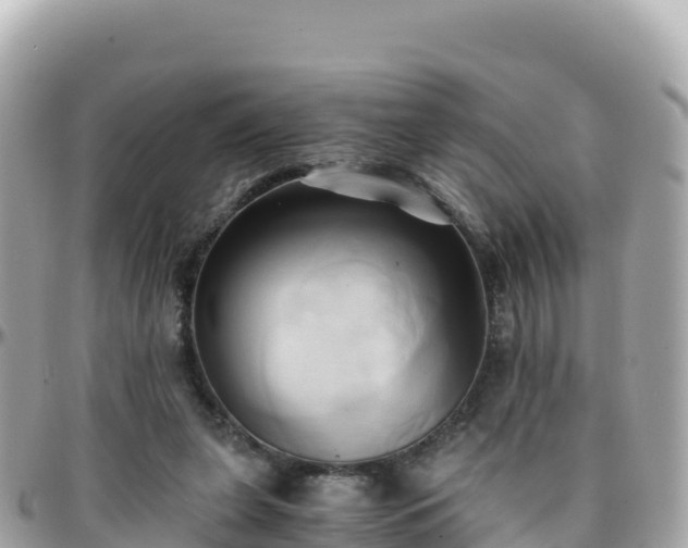 X0000096220255200801251103