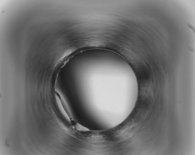 X0000096220256200801251103