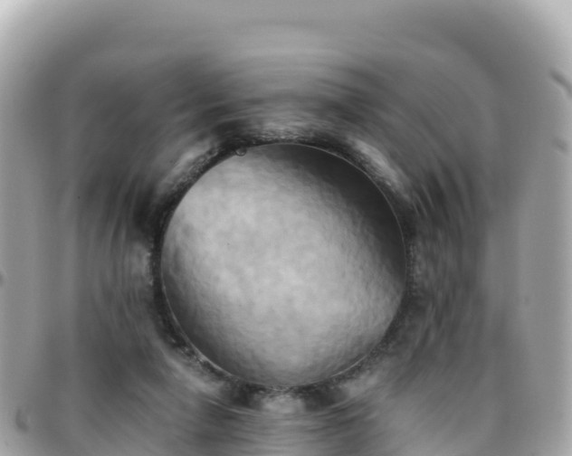 X0000096220258200801251103