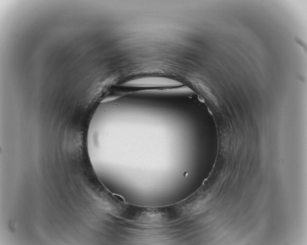 X0000096220260200801251103