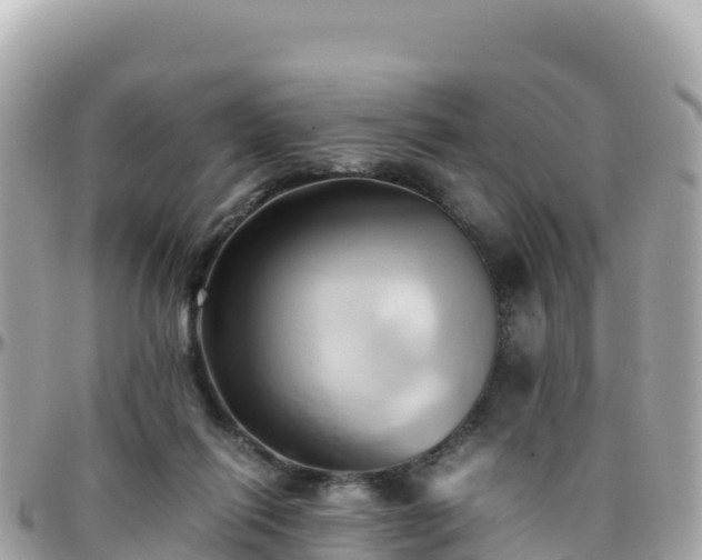 X0000096220262200801251103