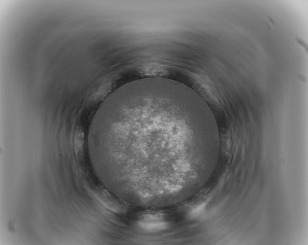 X0000096220263200801251103