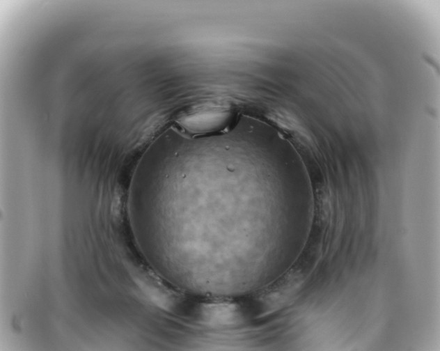 X0000096220266200801251103